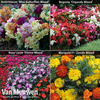 Garden Ready Bedding Collection
