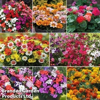 Garden Ready Bumper Collection
