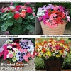 Garden Ready Container Collection