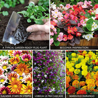 Garden Ready 