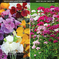 Garden Ready Scented Duo Collection