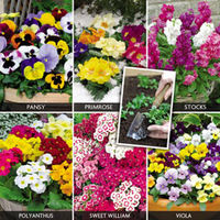Garden Ready Winter Plants - 180 plug plants - 30 of each variety
