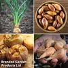 Garlic & Shallot Saver Collection