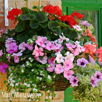 Hanging Basket SAVER Collection