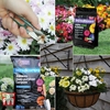 Hanging Garden Success Kit