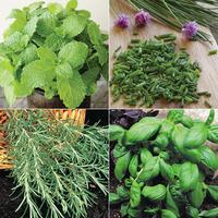 Herb Garden Collection