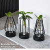 Hydroponic Collection in Turin Glass