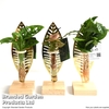 Hydroponic Collection on Display Stand