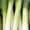 Leek 