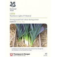Leek 
