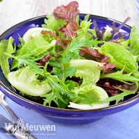 Lettuce 