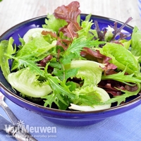 Lettuce 