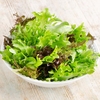 Lettuce 