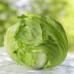 Lettuce 
