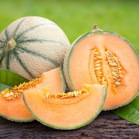 Melon 