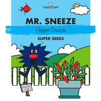 Mr. Sneeze - Pepper 