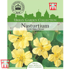 Nasturtium 