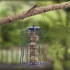 Nature's Market Wild Bird Suet Ball Feeder with Squirrel Guard