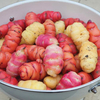 New Zealand Yam - 5 New Zealand yam tubers