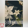 Nicotiana alata - Kew Pollination Collection
