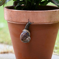 No More Slugs & Snails Copper Tape - 1 pack