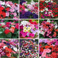 Nurseryman