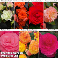 Nurseryman