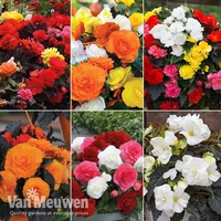Nurseryman