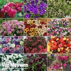 Nurseryman