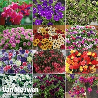 Nurseryman