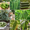 Nurseryman