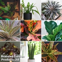 Nurseryman