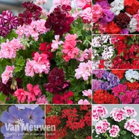 Nurseryman
