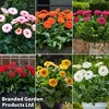 Nurseryman