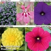 Nurseryman