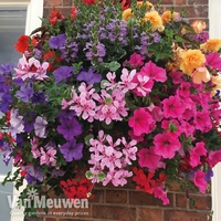 Nurseryman