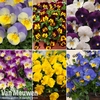 Nurseryman