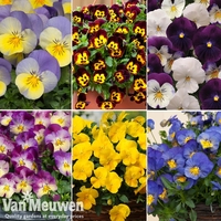 Nurseryman