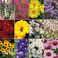 Nurseryman