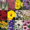 Nurseryman