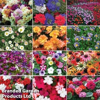 Nurseryman's Choice Summer Favourites