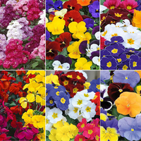 Nurseryman