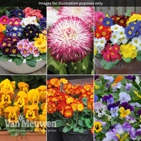 Nurseryman