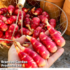 Oca 