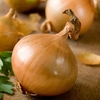 Onion 