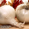 Onion 