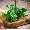 Organic Basil 