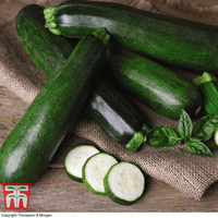 Organic Courgette 