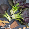 Pak Choi 