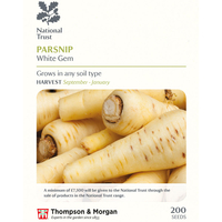 Parsnip 